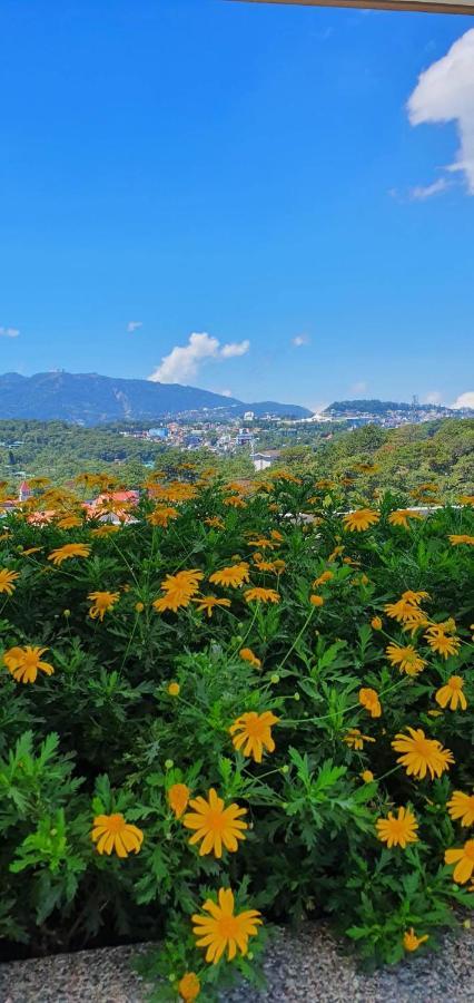 Jcga Apartments At Bristle Ridge Condominium Near Botanical Garden And The Mansion Baguio City Zewnętrze zdjęcie